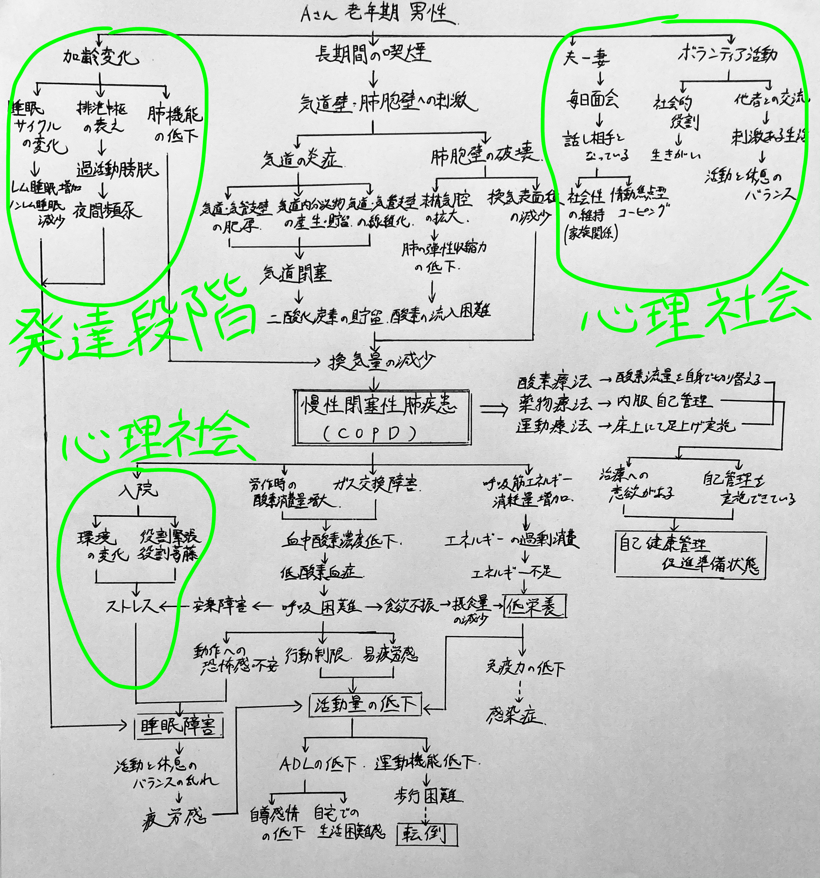 看護実習 看護学生 手順書 関連図 アセスメント 計画 実習記録 国試