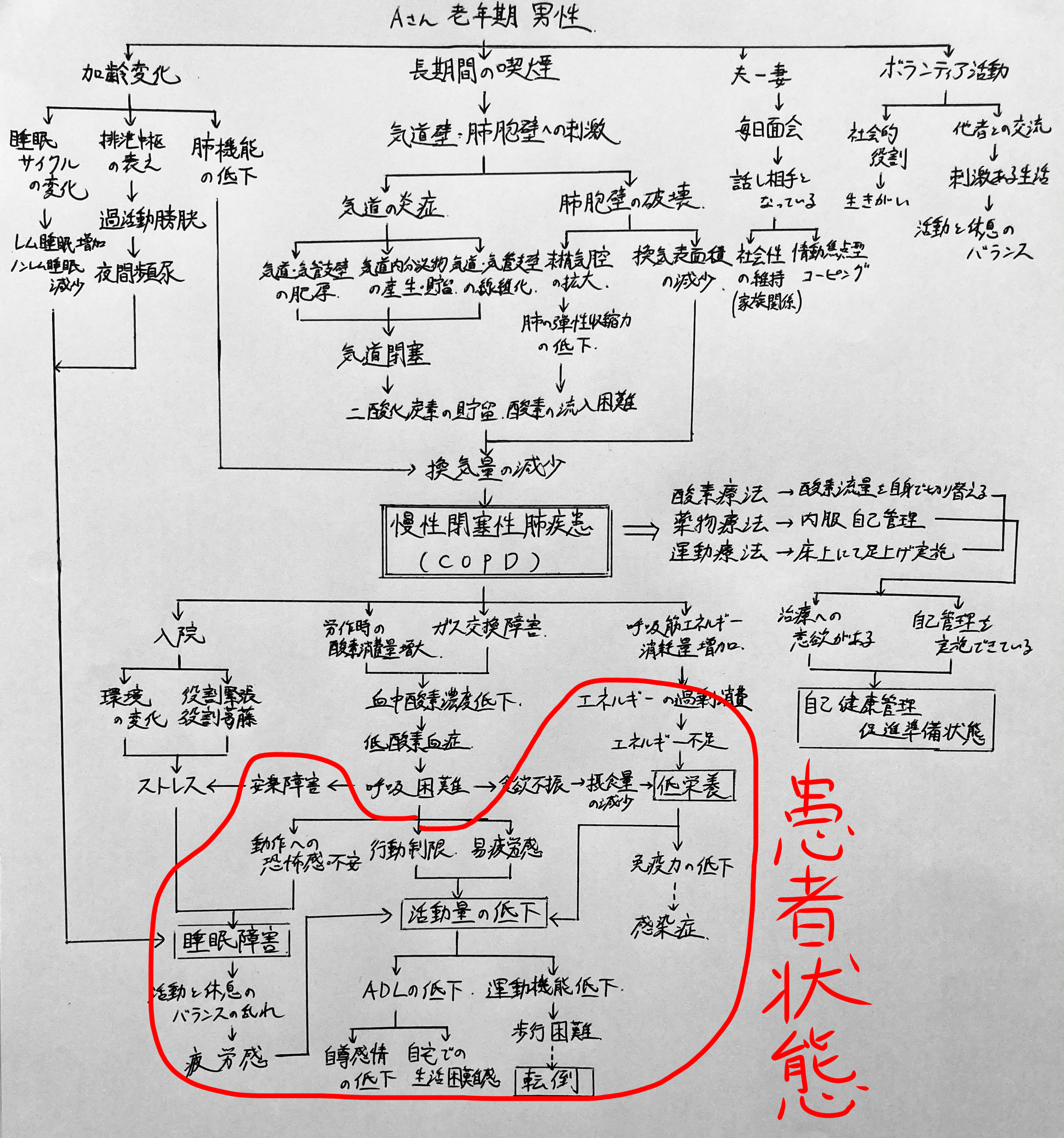 看護実習 看護過程 看護計画 関連図 アセスメント 事前学習