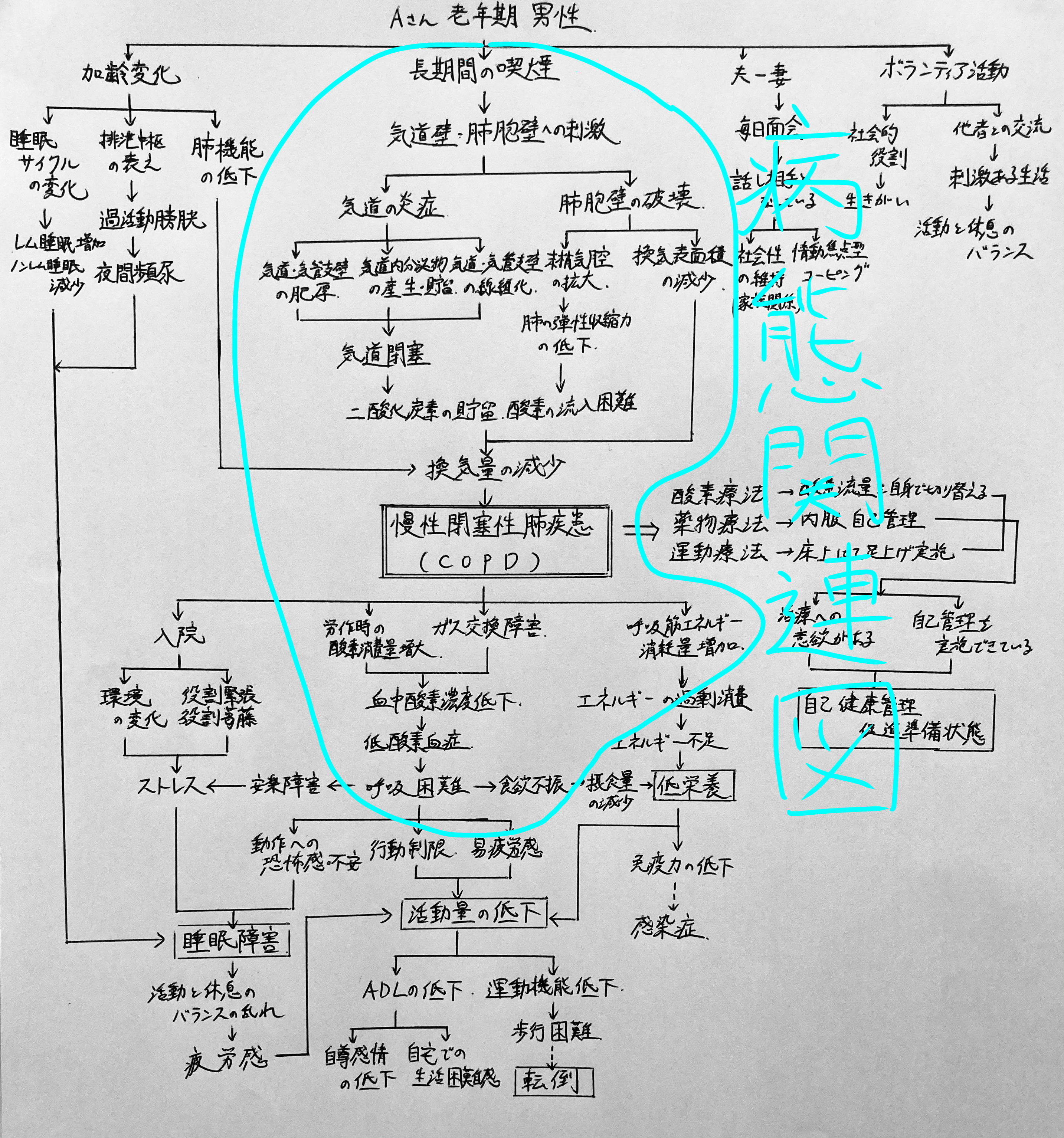 看護学生】関連図の書き方～基本的な手順と解説～ | 鳩ぽっぽの関連図ブログ