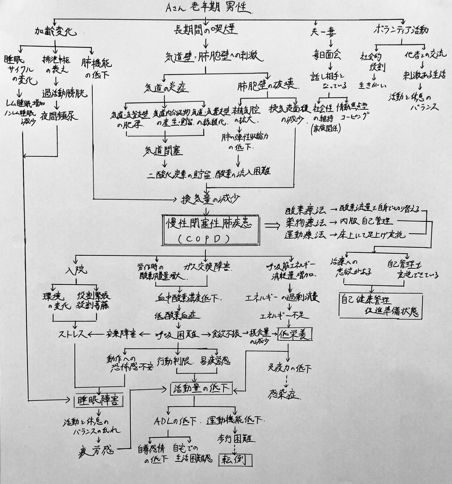 【看護学生】関連図の書き方～基本的な手順と解説～ | 鳩ぽっぽの関連図ブログ