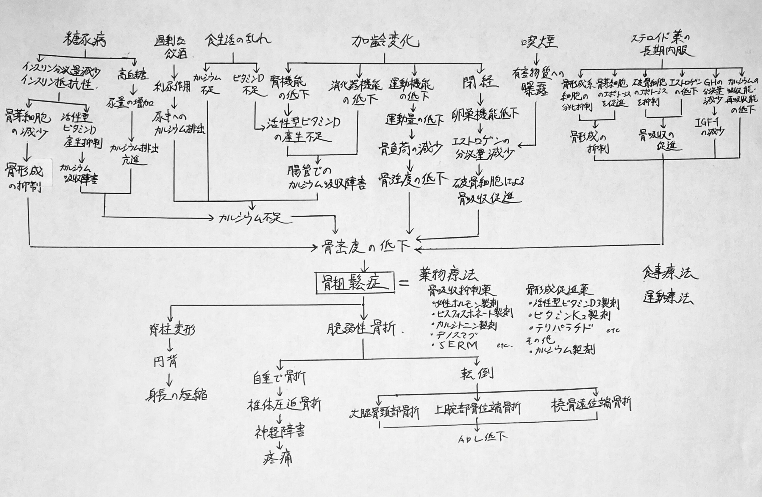 看護学生 看護実習 アセスメント 手順書 関連図 周手術期 急性期 手術 