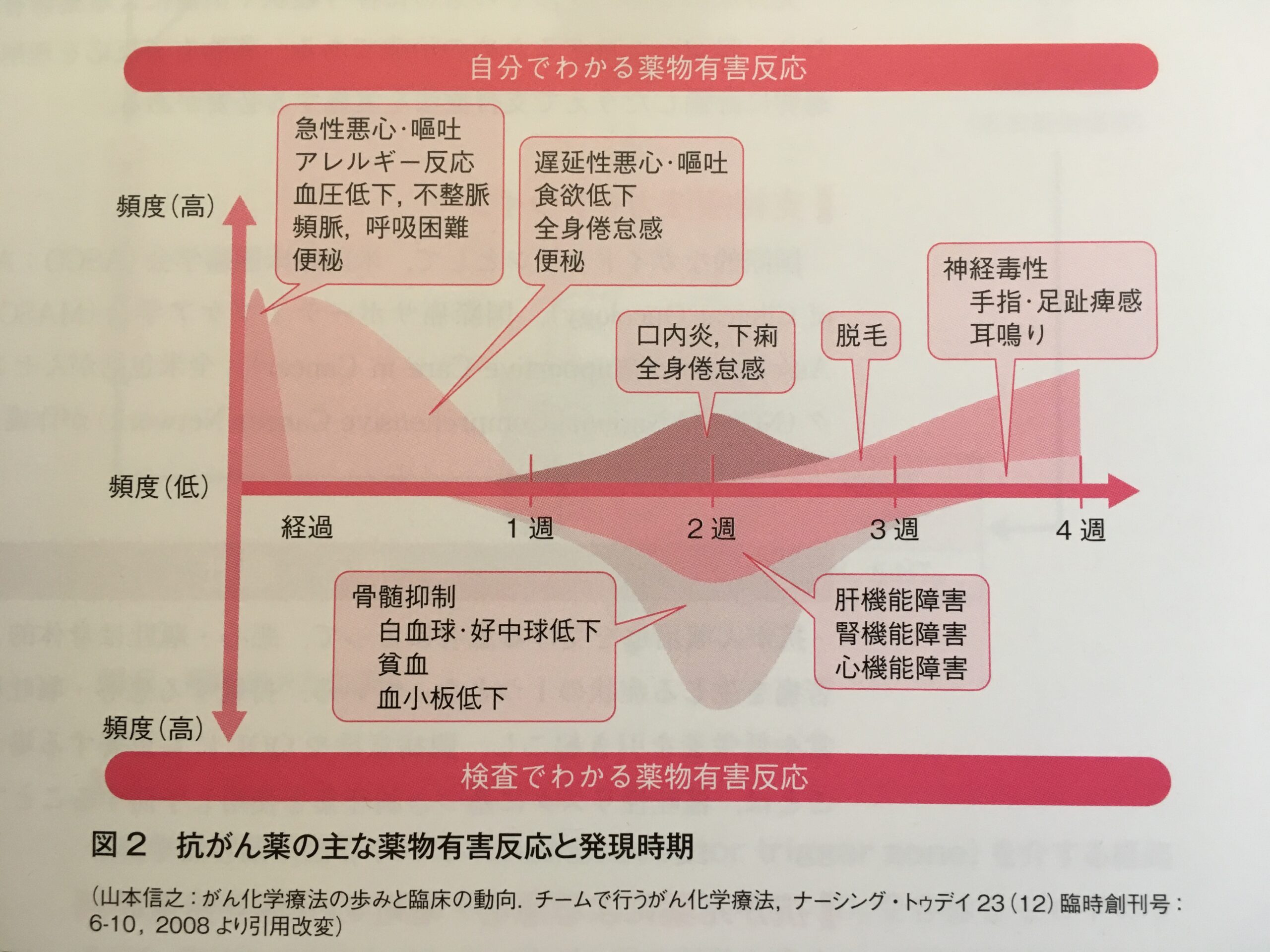 フェイスケアのヒント