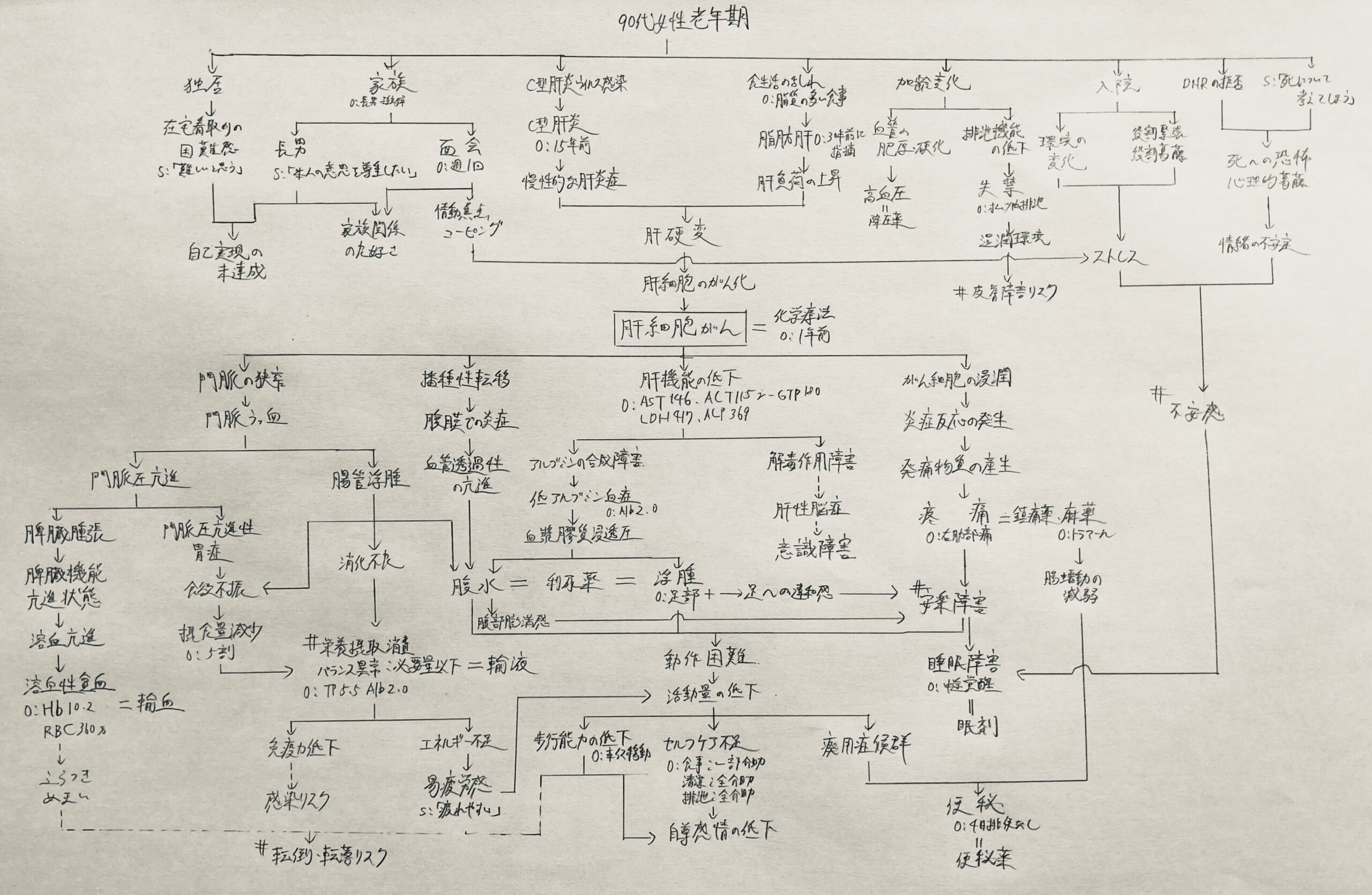 看護実習 看護学生 アセスメント 手順書 関連図 急性期 - 健康/医学